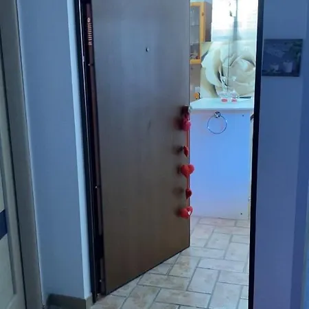 D'olimpio Mini
