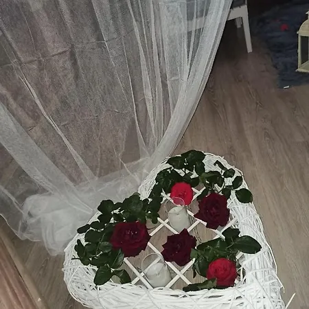D'olimpio Mini Ortona